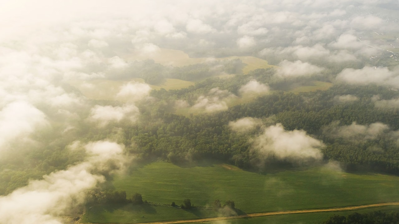 Clouds and green landscape from an above perspective