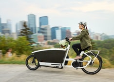 The global economy runs on approximately 20 percent electricity. 