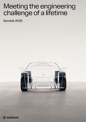 Cover image of meet sandvik