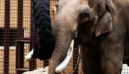 Discover our world, learn more about our great products and services and meet our exceptional people.