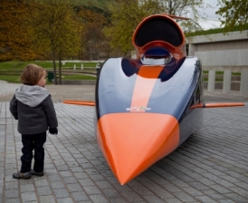 Bloodhound on display