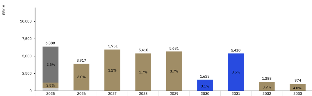 Bar chart showing the loan maturity profile April 16 2025.