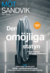 Bild på omslaget av möt sandvik