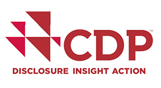 CDP_logotype.jpg