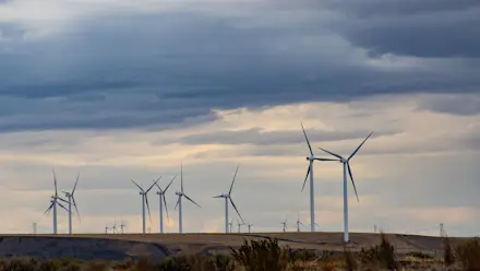 About 20 wind turbines on an open field